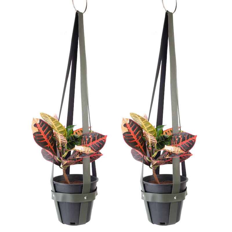 Green Rexine Plant Holders (Set of 2)