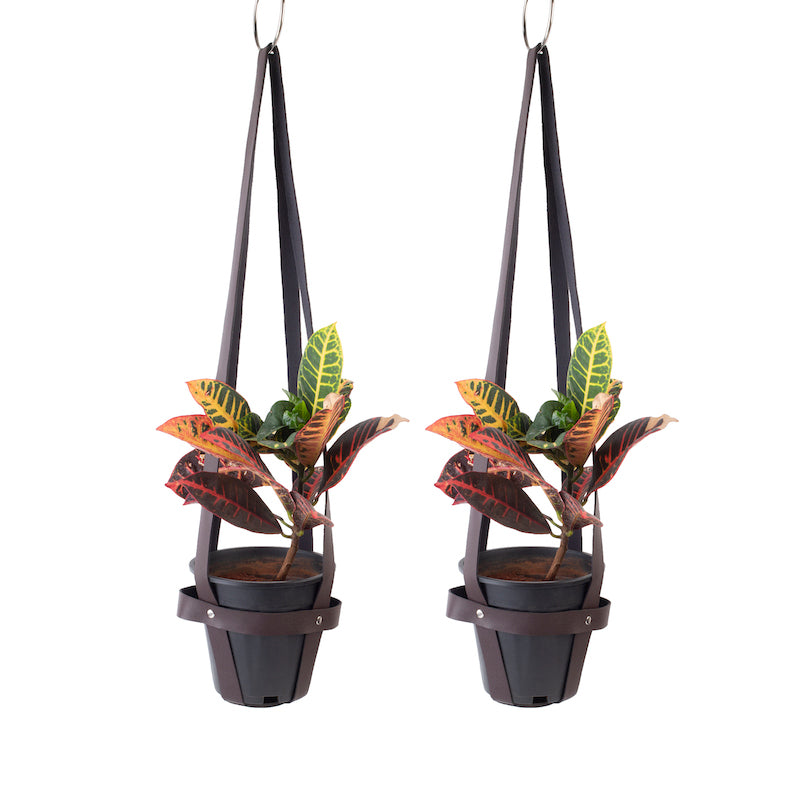 Elphine Brown Hanging Planters (Set of 2)