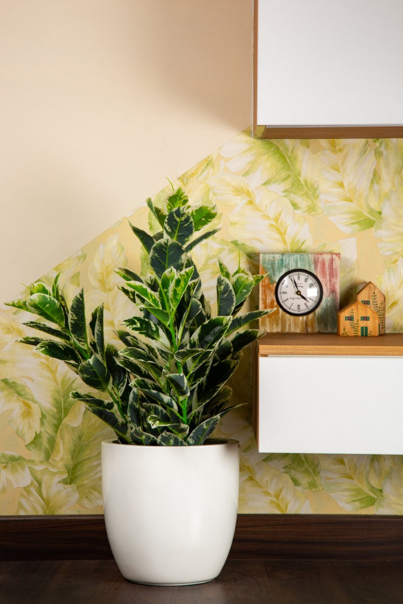Cup Shaped Floor Standing Planter