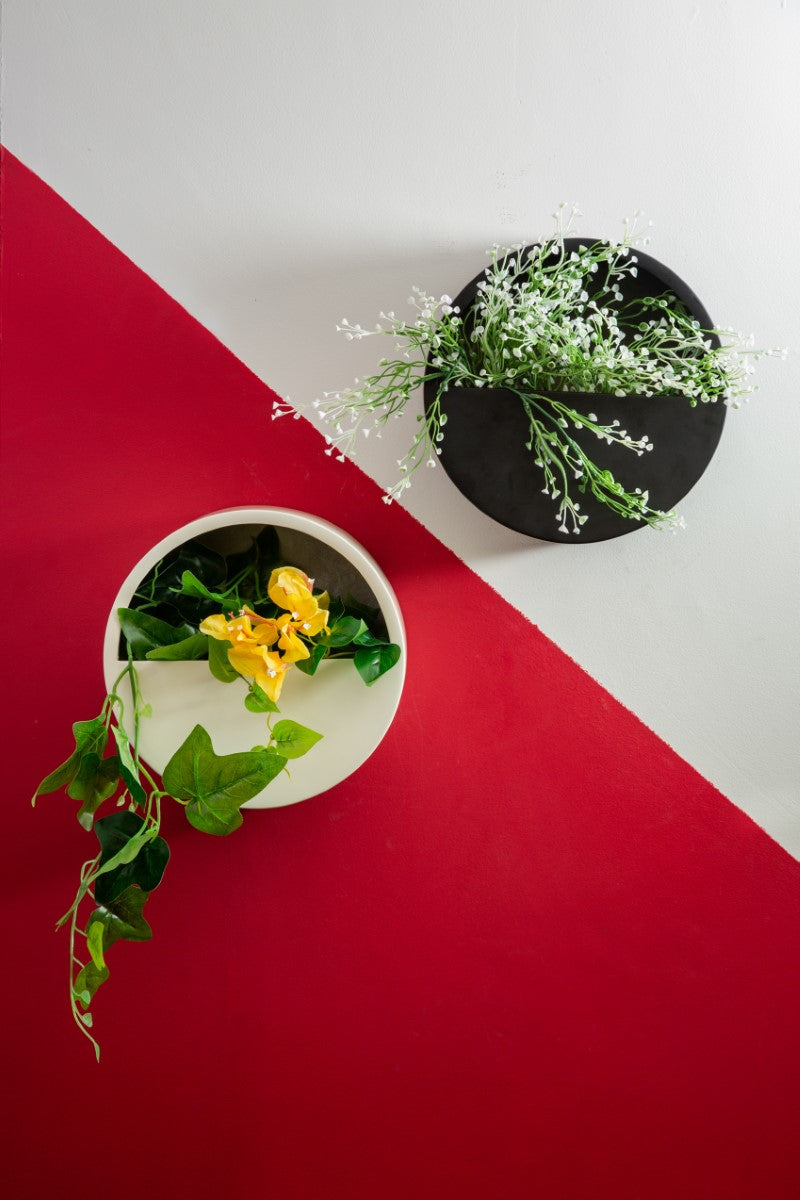 Circular Colored Hanging Planter