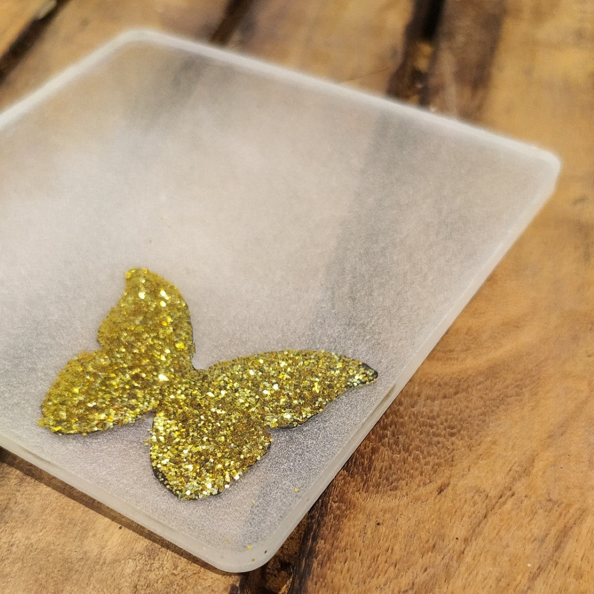 Social Butterfly Resin Coaster (Set of 2)