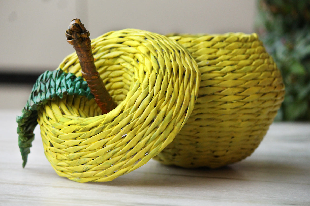 Apple Handwoven Coloured Newspaper Basket