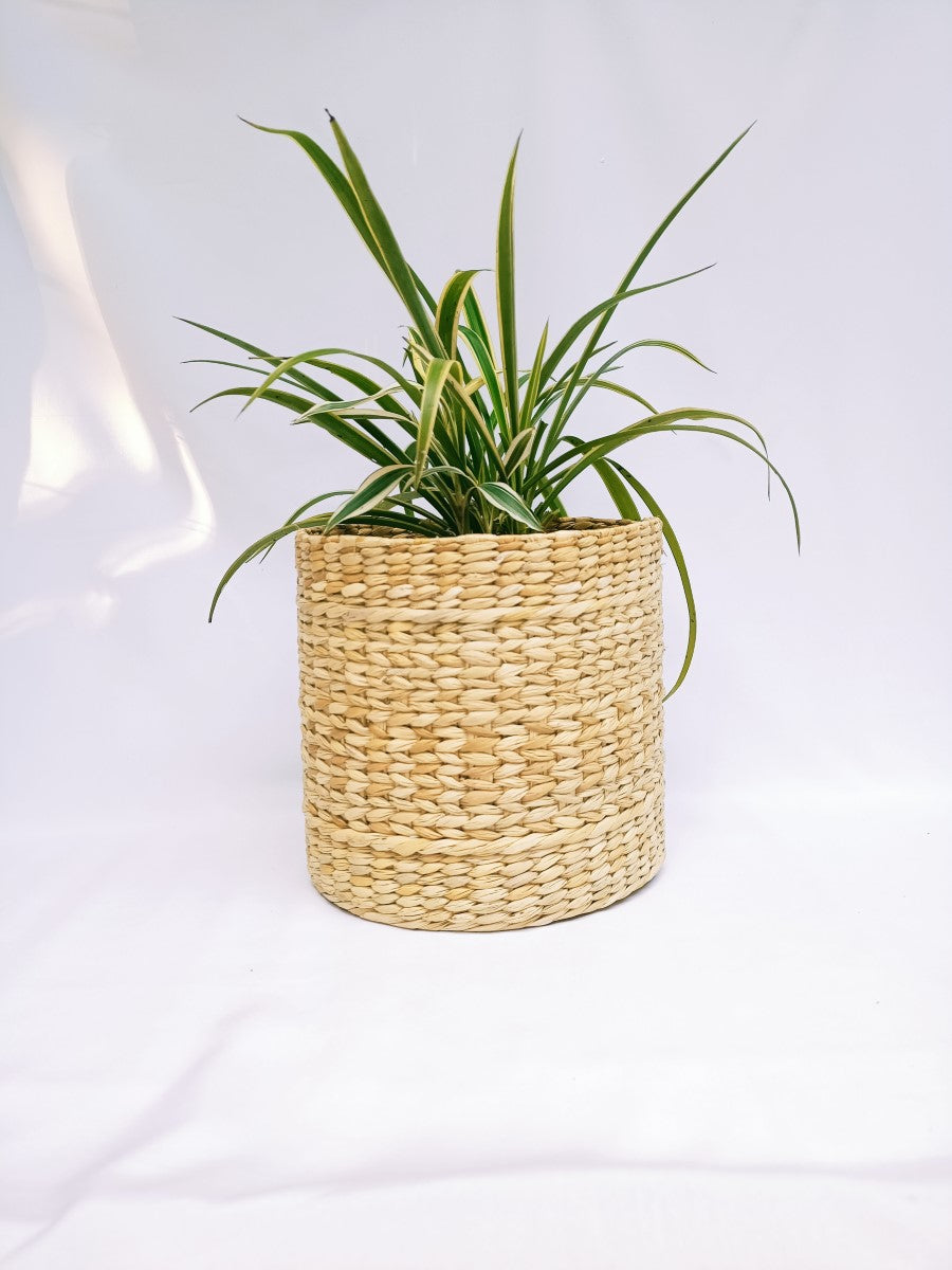 Handmade Kouna Indoor Planter