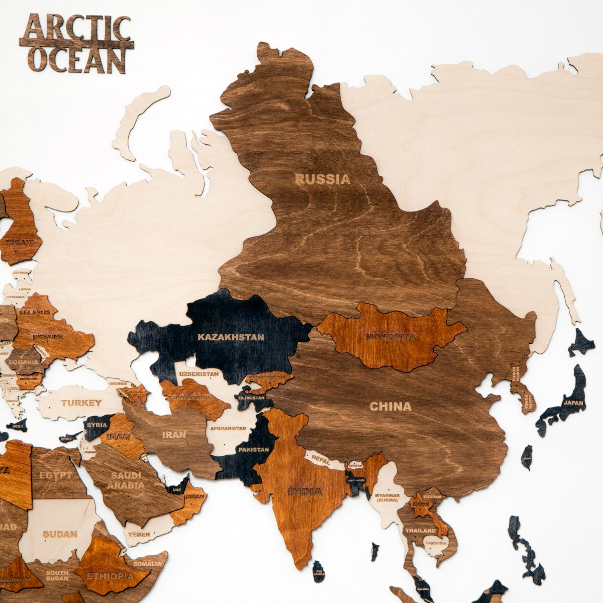 3D Birch Ply Multicolored Wooden World Map
